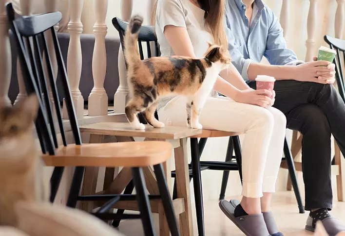 personasCafe